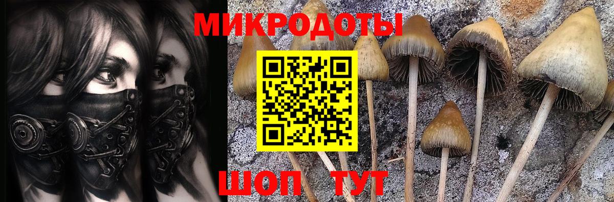 Галлюциногенные грибы мухоморы  Псилоцибиновые грибы ЛСД  закладка  Копейск  Вход с VPN 